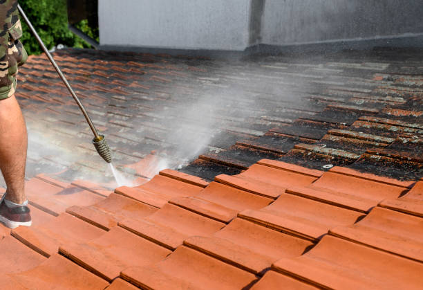 Best Roof Pressure Washing  in Comstock Northwest, MI