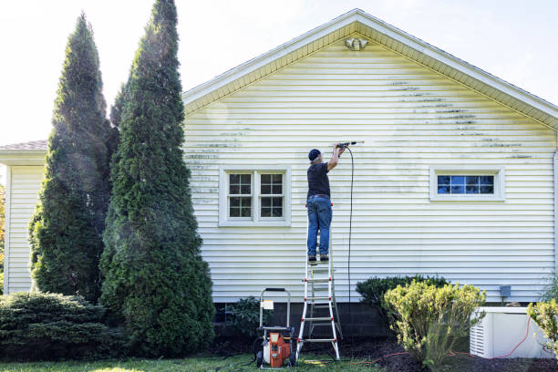 Best Residential Pressure Washing Services  in Comstock Northwest, MI
