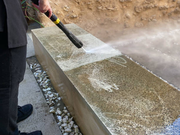 Best Roof Pressure Washing  in Comstock Northwest, MI
